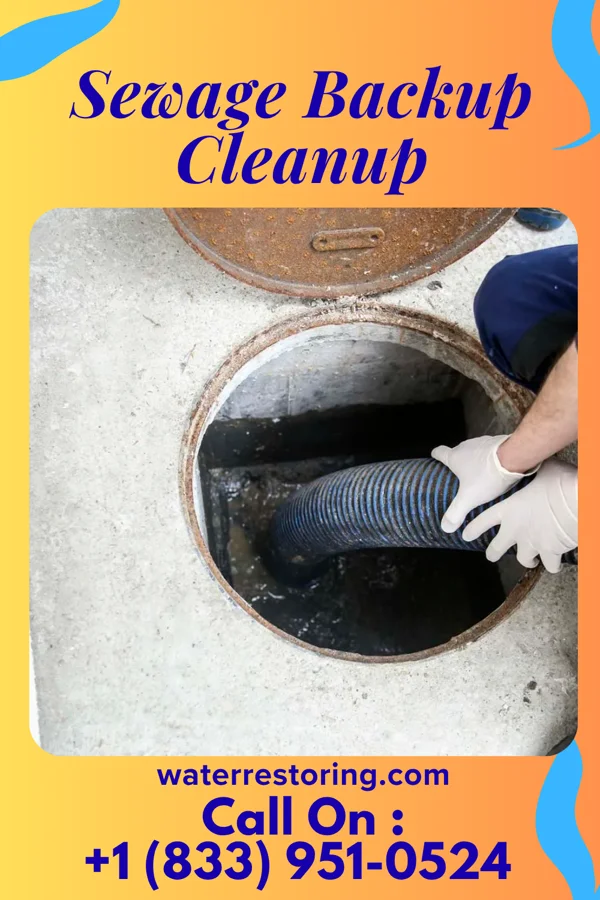 Sewage Backup Cleanup in Greenville, IA